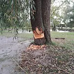 Mit Terrasse Mitten Im Gruenen By Interhome *