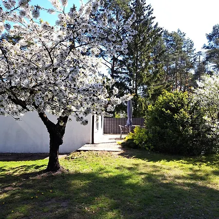 Mit Terrasse Mitten Im Gruenen By Interhome 펜션